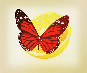 Image showing Red butterflys on a half oranges. 3D illustration. Vintage style