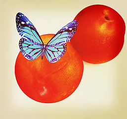 Image showing Blue butterflys on a fresh peaches. 3D illustration. Vintage sty