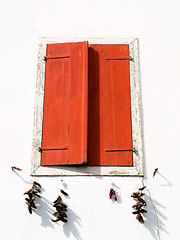 Image showing Red Window and peppers