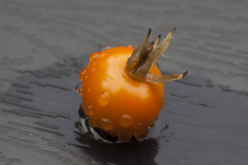 Image showing wet tomato