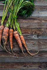 Image showing raw carrots on the ground