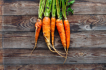 Image showing Raw carrot with green leaves on wooden background