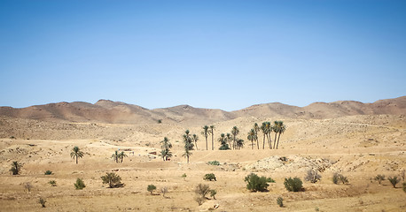 Image showing Rocky desert of Sahara