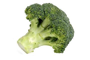 Image showing Closeup of broccoli