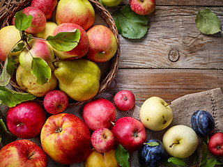 Image showing beautiful autumn fruits