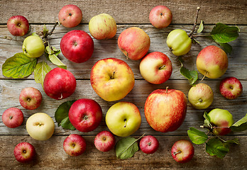 Image showing various kinds of apples