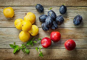 Image showing various kinds of fresh plums