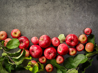 Image showing fresh red apples 