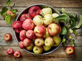 Image showing plate of various fresh apples