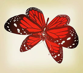 Image showing Butterfly. 3D illustration. Vintage style.