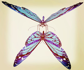 Image showing Butterfly. 3D illustration. Vintage style.