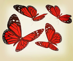 Image showing Butterflies. 3D illustration. Vintage style.