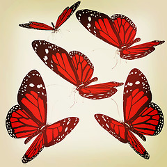 Image showing Butterflies. 3D illustration. Vintage style.