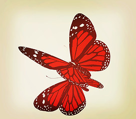 Image showing Butterfly. 3D illustration. Vintage style.