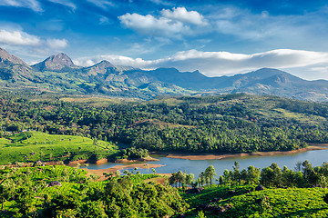 Image showing Tea plantations and river in hills. Kerala, India