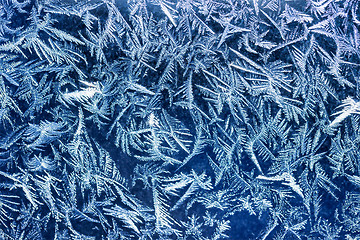 Image showing Winter frost patters