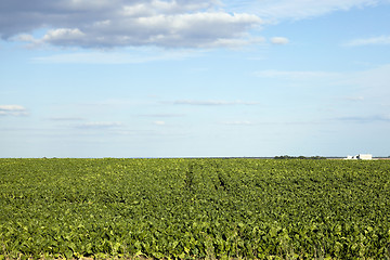 Image showing Photo agriculture, Europe