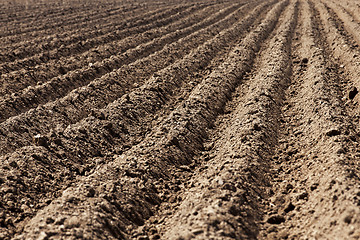 Image showing plowed land, furrows