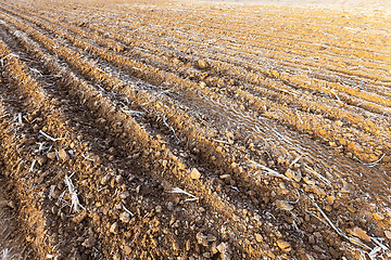 Image showing plowed land, frost