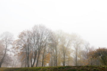 Image showing Autumn Park, overcast