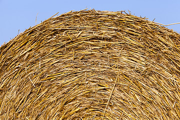 Image showing straw in the field