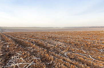 Image showing plowed land, frost