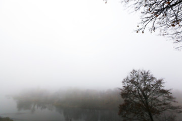 Image showing Autumn Park, overcast