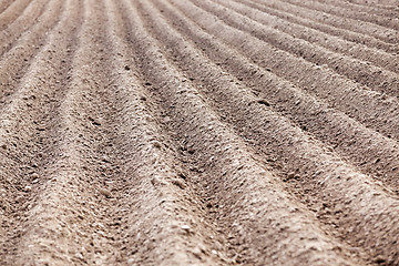 Image showing plowed field, furrows