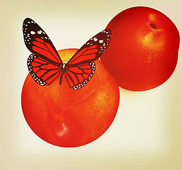 Image showing Red butterflys on a fresh peaches. 3D illustration. Vintage styl