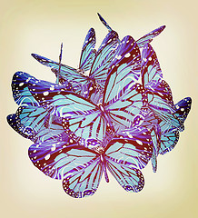 Image showing Butterflies. 3D illustration. Vintage style.