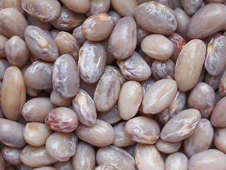 Image showing Crimson beans legumes vegetables