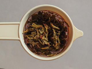 Image showing Gunpowder green tea in London