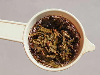 Image showing Gunpowder green tea in London