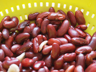 Image showing Kidney beans legumes vegetables