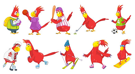 Image showing Vector set of funny parrots sport illustrations.