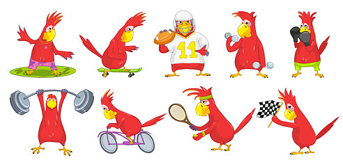 Image showing Vector set of funny parrots sport illustrations.