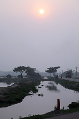 Image showing Ganges delta in Sunderbands, West Bengal, India