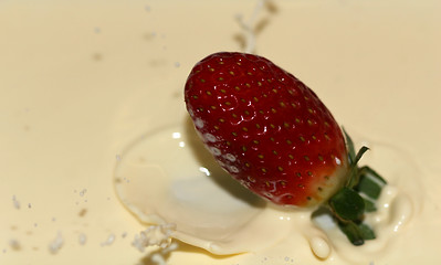 Image showing Strawberry and Cream