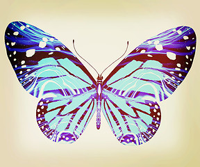 Image showing beauty butterfly. 3D illustration. Vintage style.