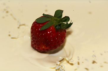 Image showing Strawberry and Cream