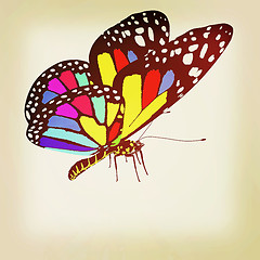 Image showing colorful butterfly. 3D illustration. Vintage style.