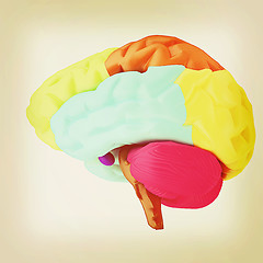 Image showing Colorfull human brain. 3D illustration. Vintage style.