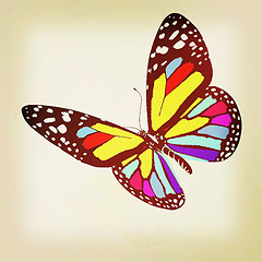 Image showing ?olorful butterfly. 3D illustration. Vintage style.