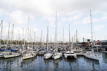 Image showing Yachts docked at Port Vell in Barcelona