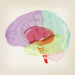 Image showing Human brain. 3D illustration. Vintage style.