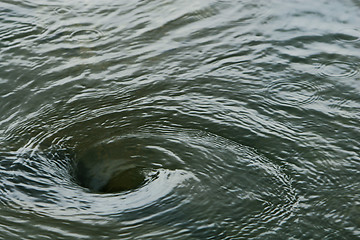 Image showing Water vortex