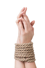 Image showing Tied hands, isolated  white