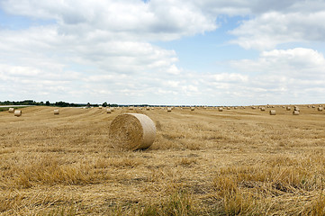 Image showing stack of wheat straw