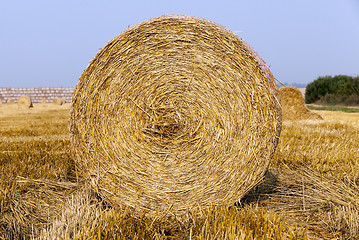 Image showing stack of straw in the field