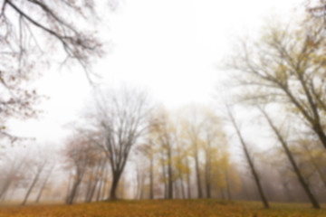 Image showing Autumn Park, overcast